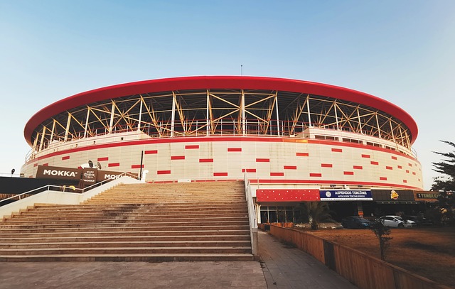 整追加投注 整追加投注