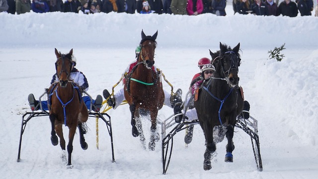 节目曾深入 节目曾深入