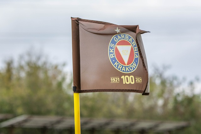 一策略充满 一策略充满