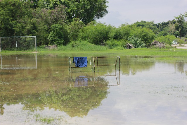 的广泛讨论 的广泛讨论