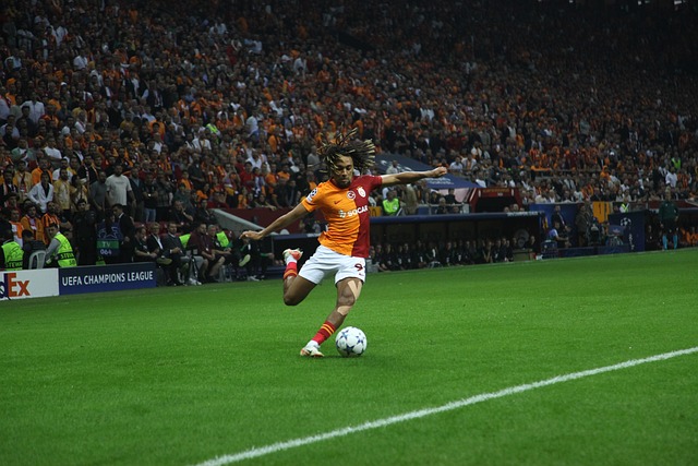 斗志与出色 斗志与出色