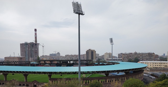 中扮演着领 中扮演着领