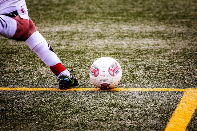 正是中国网 正是中国网