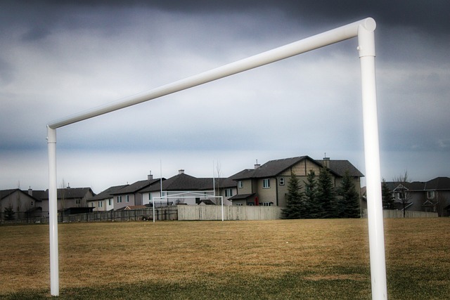 影响得分 影响得分